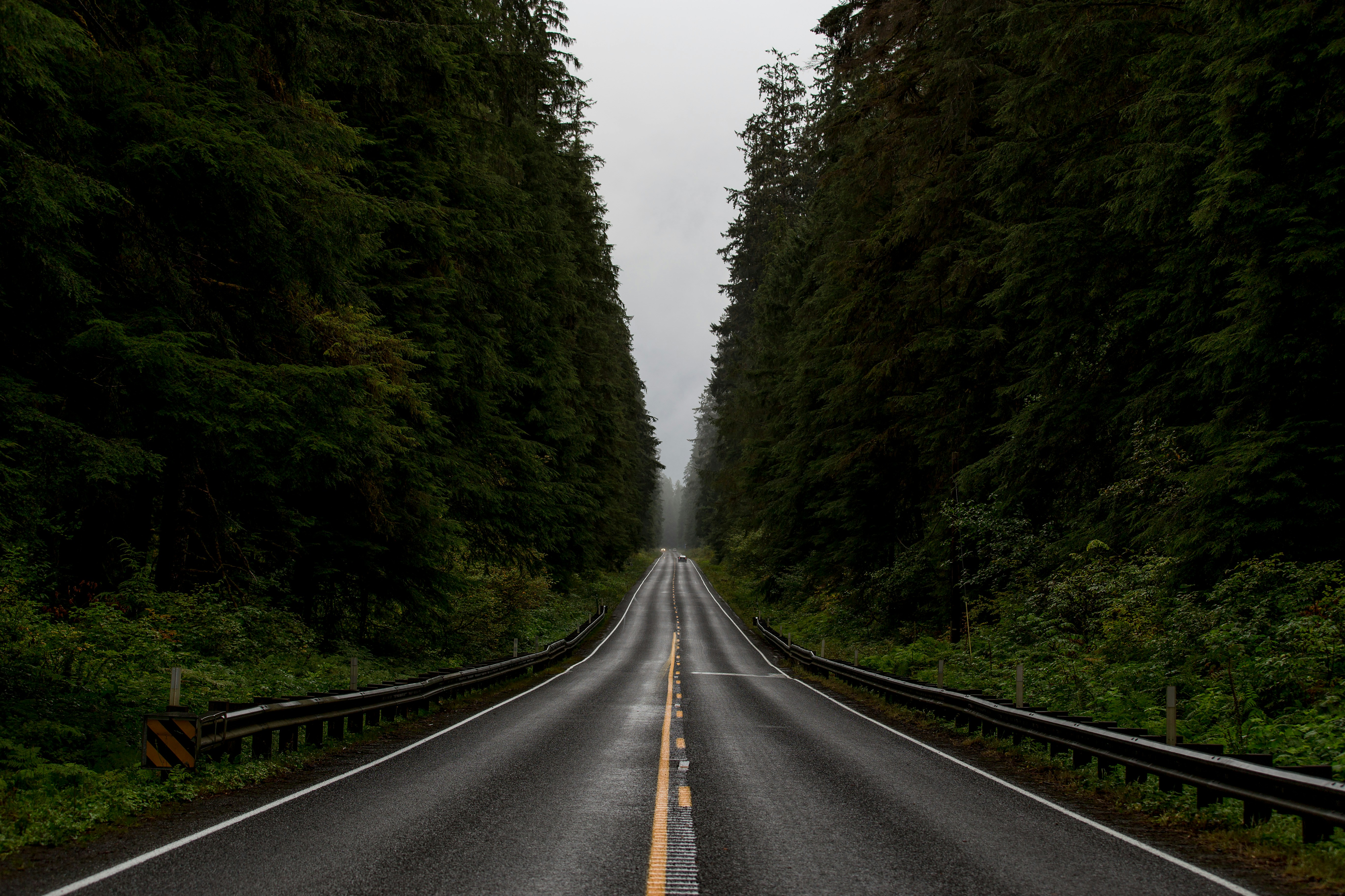 Image 05